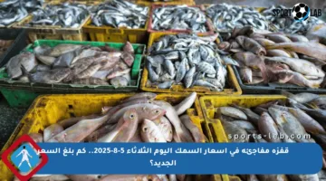 قفزة مفاجئة في أسعار السمك اليوم الثلاثاء 5-8-2025.. كم بلغ السعر الجديد؟